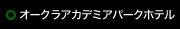 オークラアカデミアパークホテル
