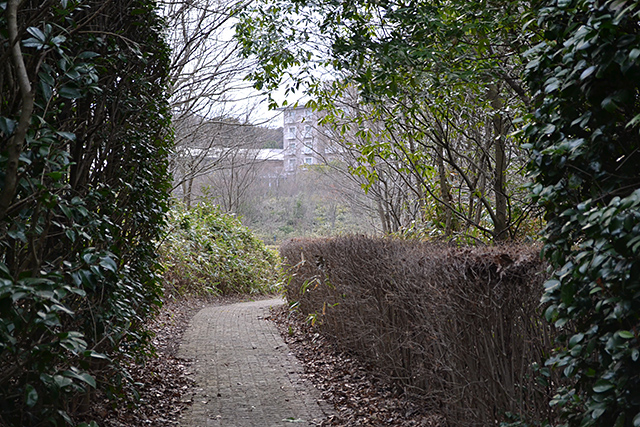 東広場横 通路