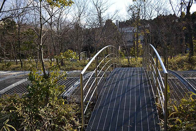 遊歩道