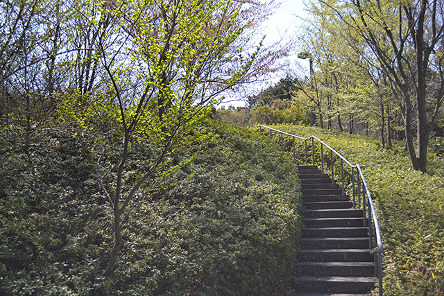 遊歩道