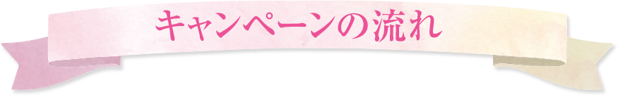 キャンペーンの流れ