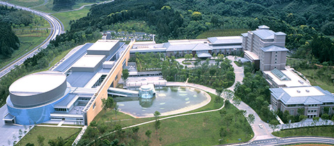 Facility Layout ／ 施設レイアウト