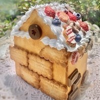 『 きのこクラブ 』