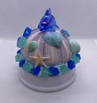 『 虹 』
