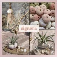『 signora  』