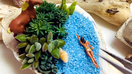 海の多肉植物ジオラマづくり 講師：SeaDrop