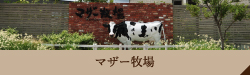 マザー牧場