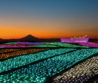 【冬のおすすめ】人気の「マザーイルミ」入場券付き宿泊プラン