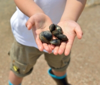 【春のちば旅】潮干狩り体験付きご宿泊プラン