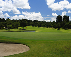 ゴルフプラン Golf plan