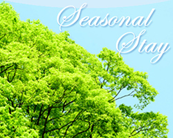 シーズナルプラン Seasonal plan