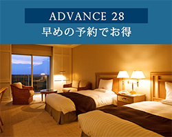 ADVANCE 28
